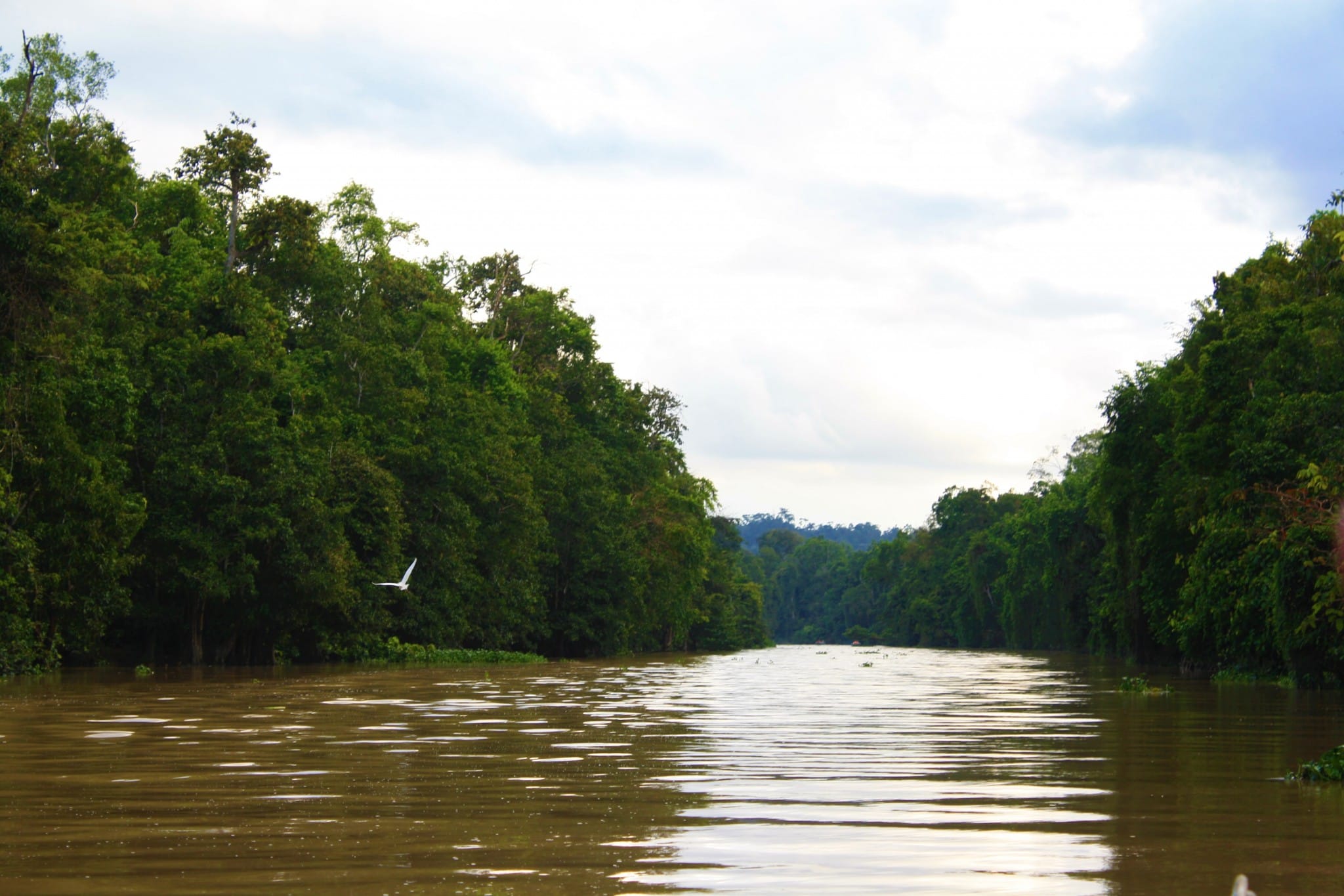 02 Kalimantan menyimpan potensi sungai yang dapat menghasilkan energi travel tramp.com 1