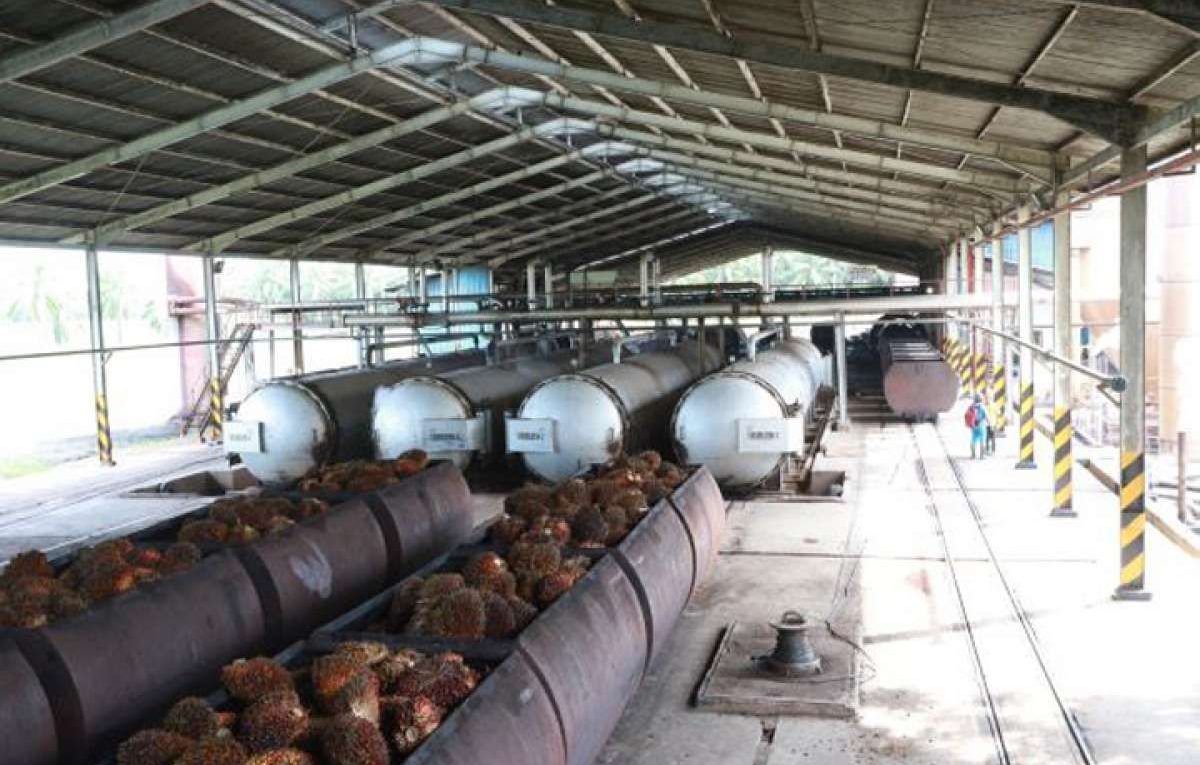 Ada Investasi Pabrik Sawit Teknologi SPOT Peluang Baru untuk Kabupaten